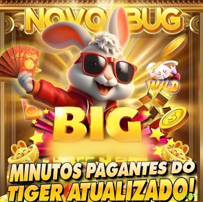 Suporte 161bet